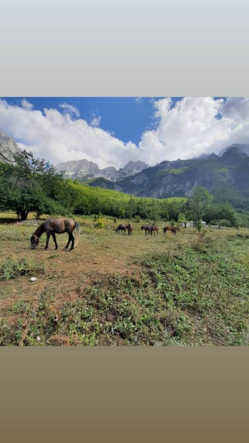 Hotel Margjeka Valbona Esterno foto